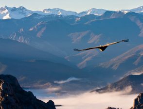 逆风的方向，更适合飞翔